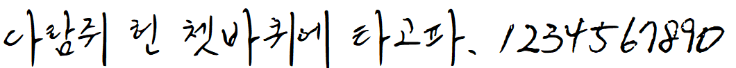 나눔손글씨 와일드